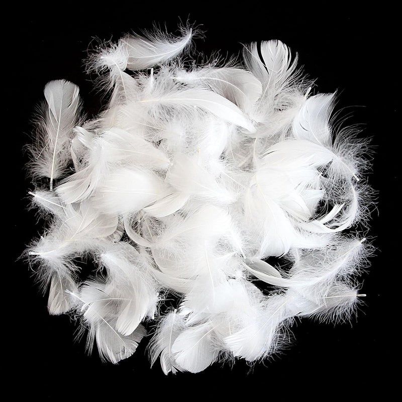 Lamar Feather Lamar 300Pcs 2-3'' White Feathers Bulk for Crafting, Dream Catcher Accessories, Art Projects, DIY Crafting, Handi Crafts, Party Decoration (White) - Image 3